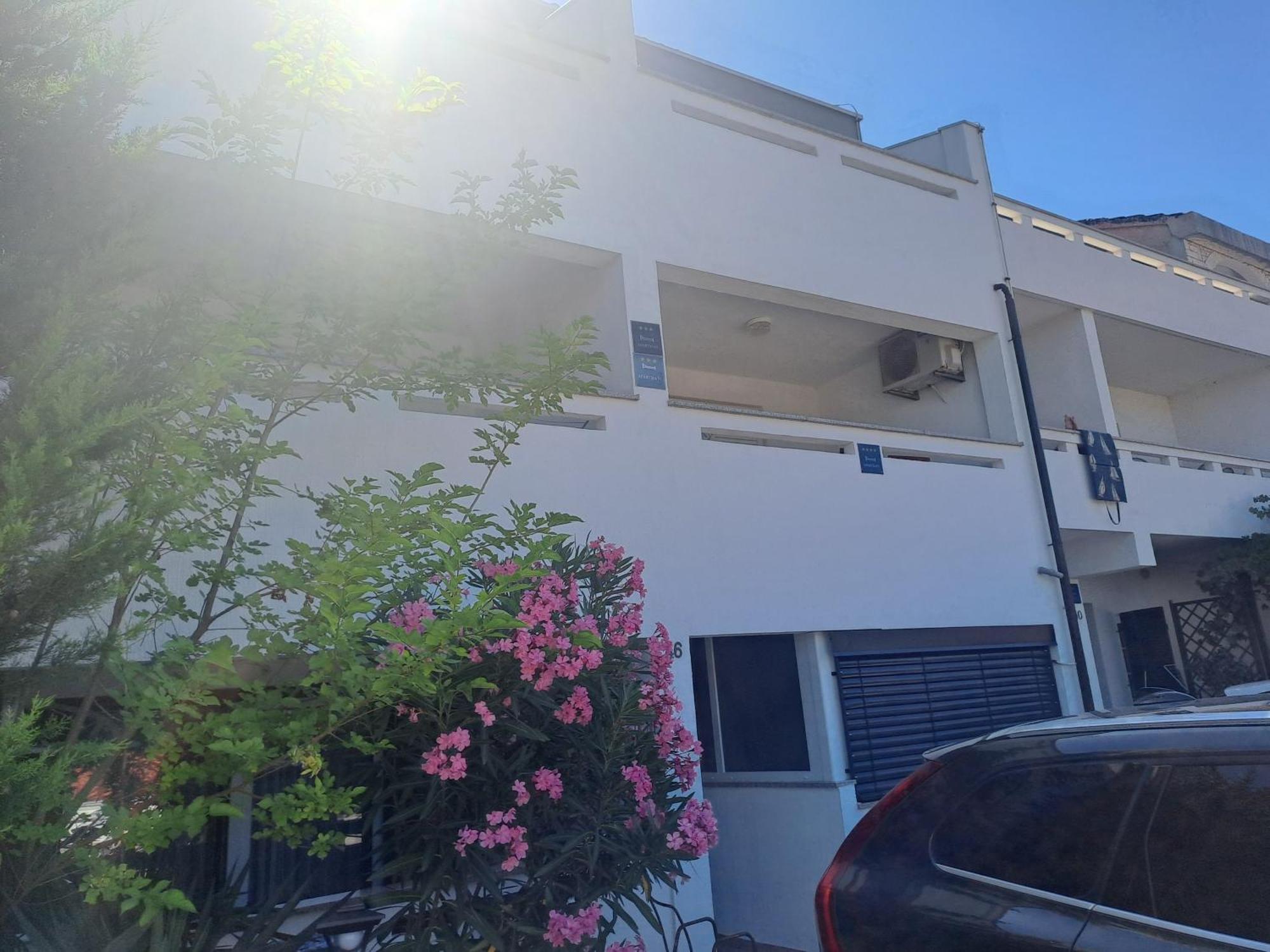 Apartment Zarok *